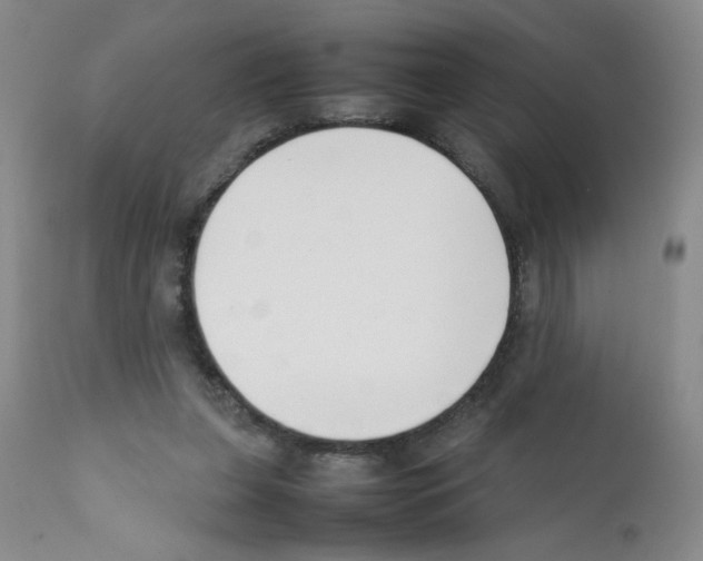 X0000111500255200908251056