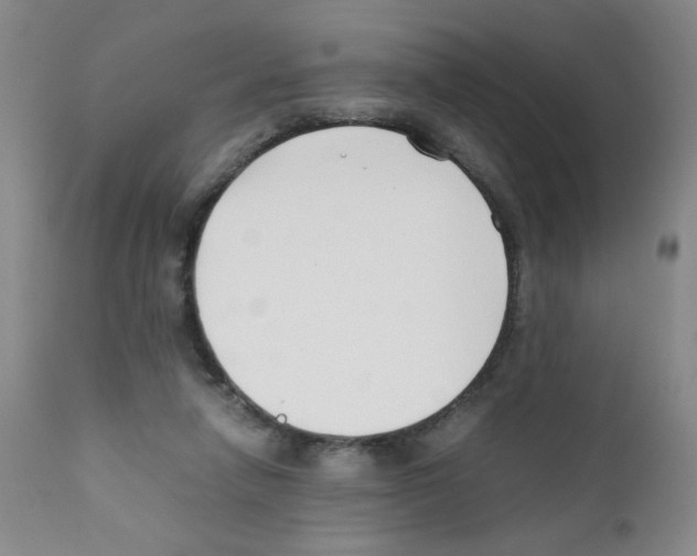 X0000111500258200908251056