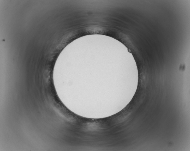 X0000111500259200908251056