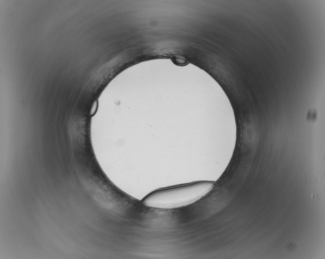 X0000111500260200908251056