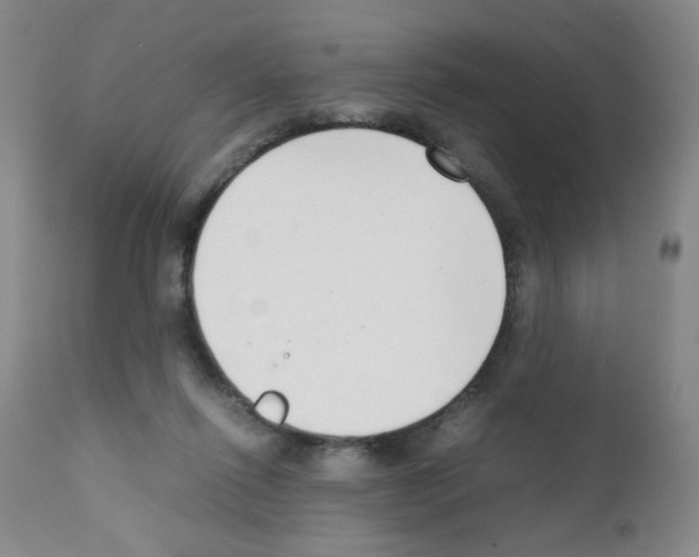 X0000111500262200908251056