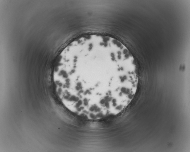 X0000111500264200908251056