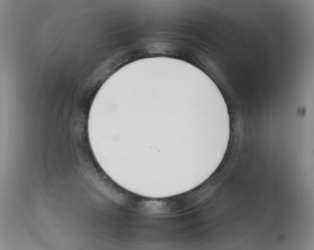 X0000111500265200908251056