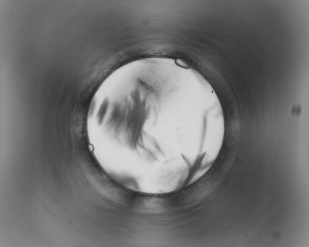 X0000111500268200908251056