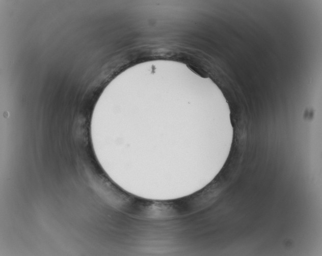 X0000111500270200908251056