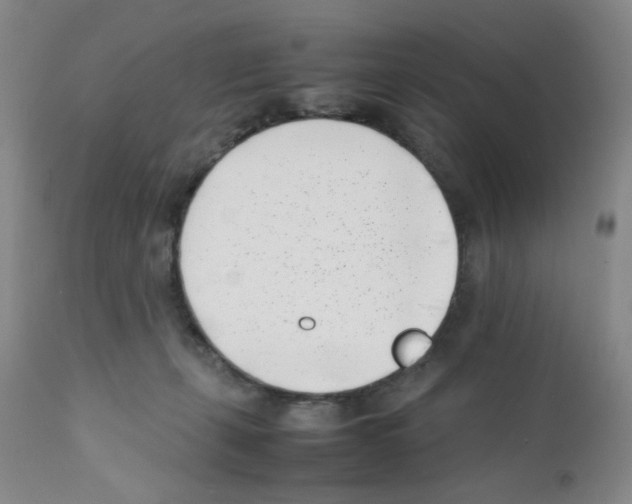 X0000111500271200908251056