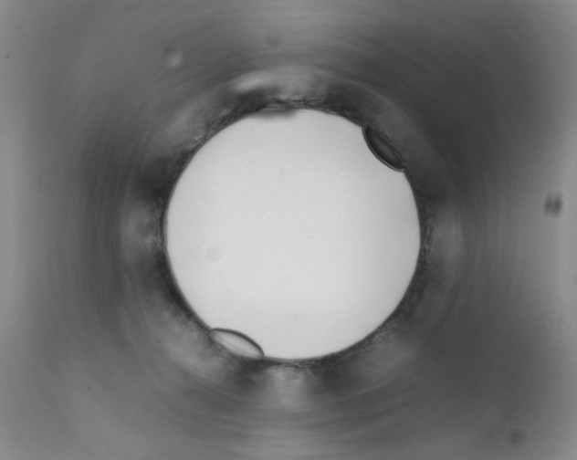 X0000111500272200908251056