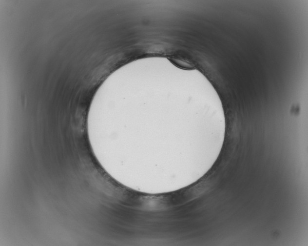 X0000111500273200908251056