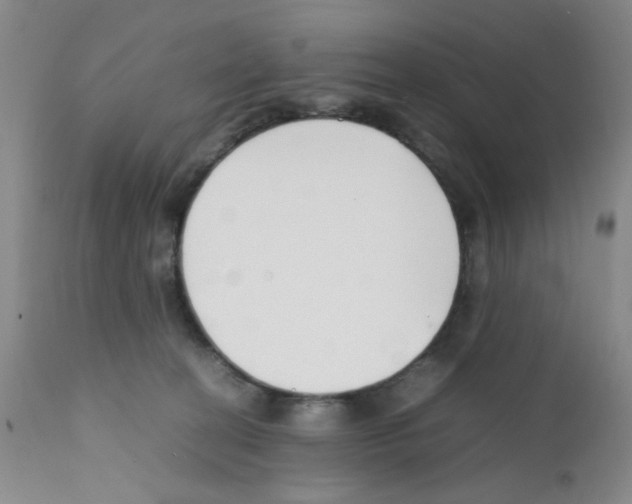 X0000111500274200908251056