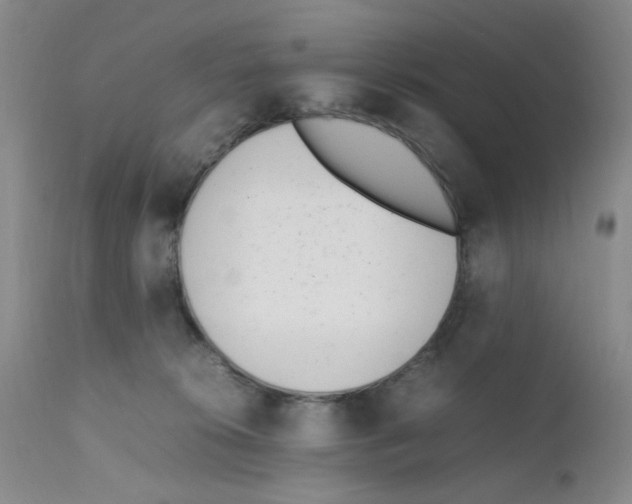 X0000111500276200908251056