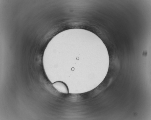 X0000111500278200908251056