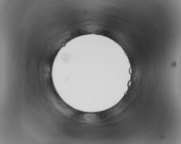 X0000111500279200908251056