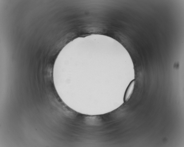 X0000111500281200908251056