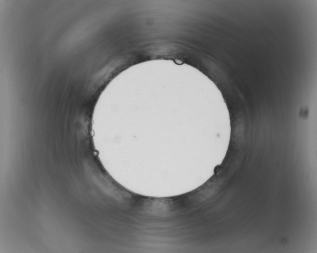 X0000111500282200908251057