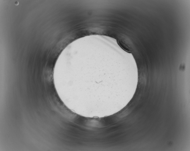 X0000111500285200908251057