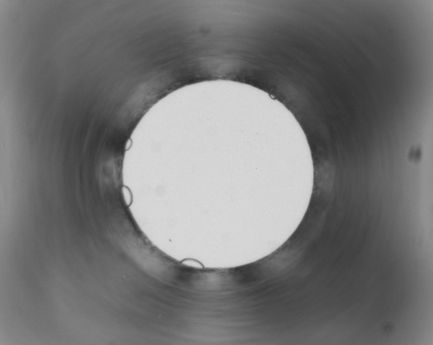 X0000111500286200908251057