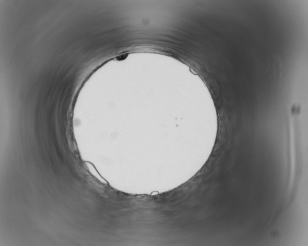 X0000111500289200908251056