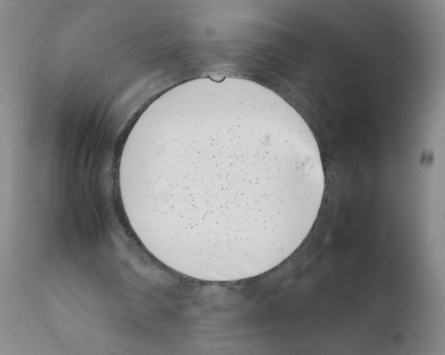 X0000111500290200908251056