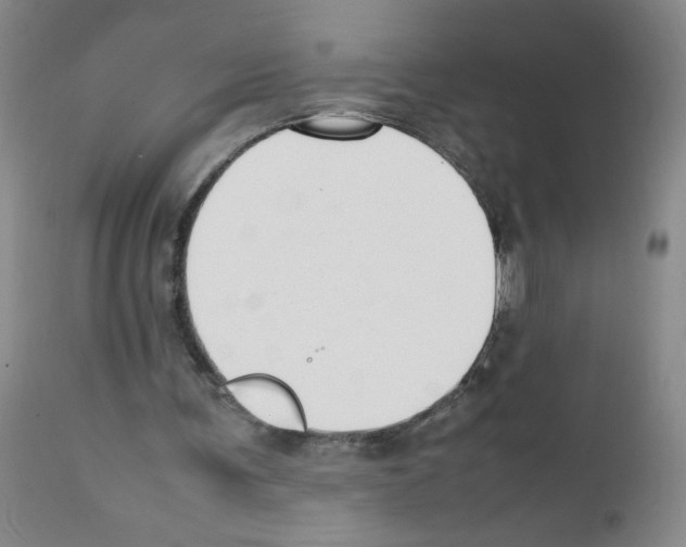 X0000111500291200908251056