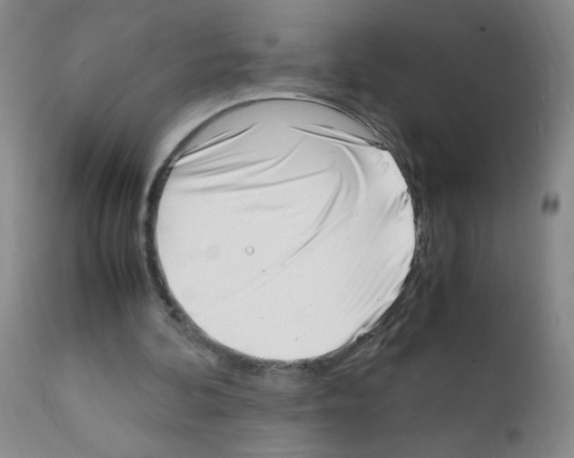 X0000111500292200908251056