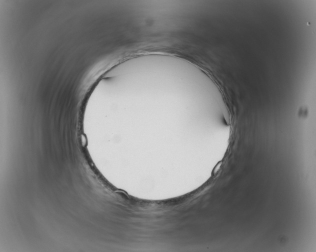 X0000111500293200908251056