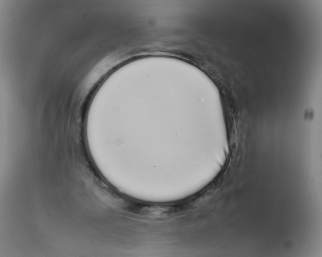 X0000111500295200908251056