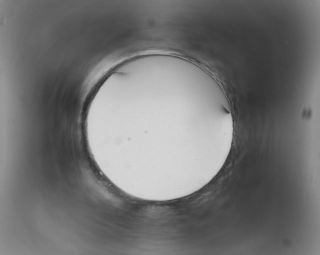 X0000111500296200908251056