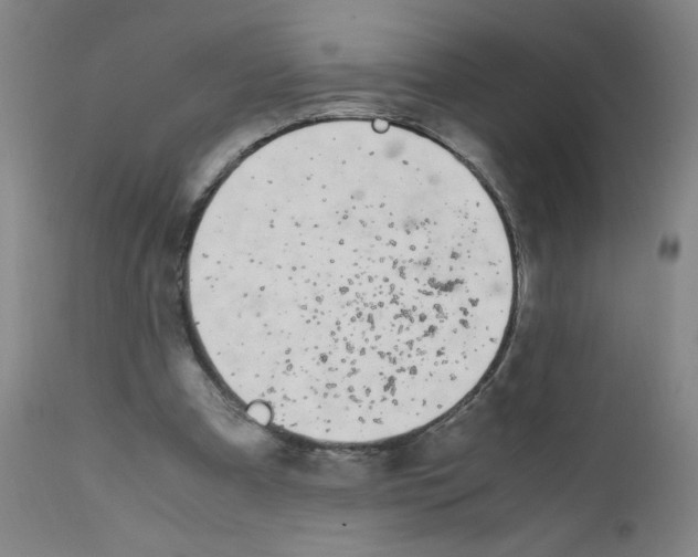 X0000111500297200908251056