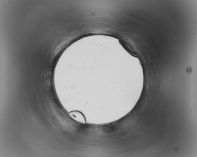 X0000111500299200908251056