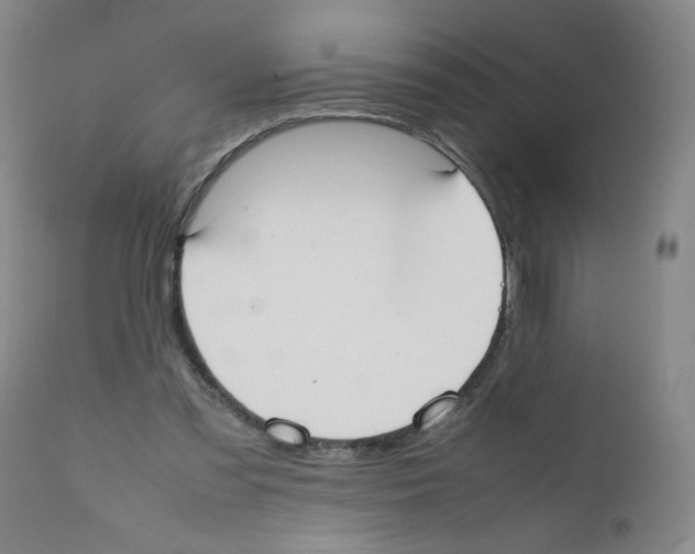 X0000111500301200908251056