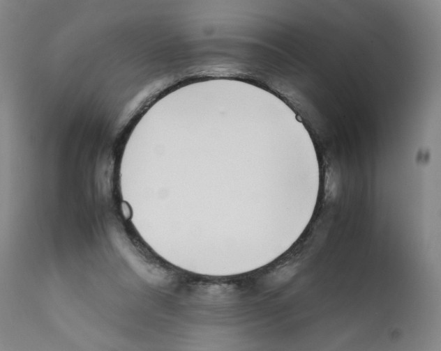 X0000111500304200908251056