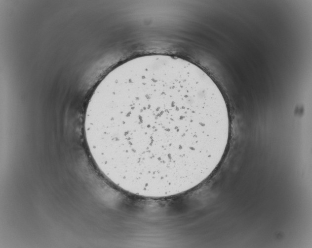 X0000111500305200908251056