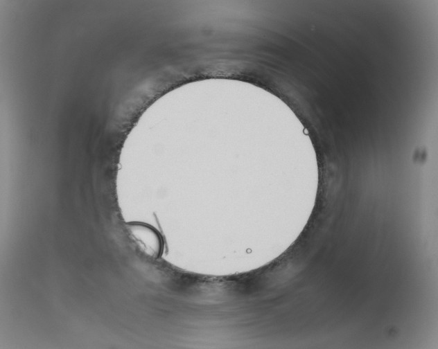 X0000111500307200908251056