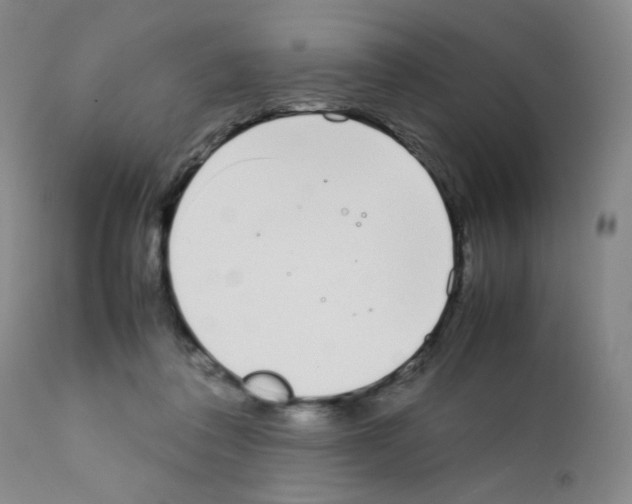 X0000111500308200908251056