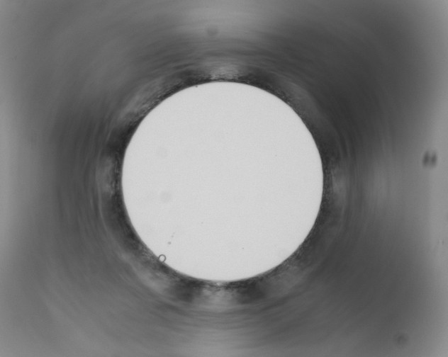 X0000111500311200908251056