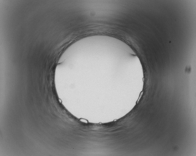 X0000111500313200908251056