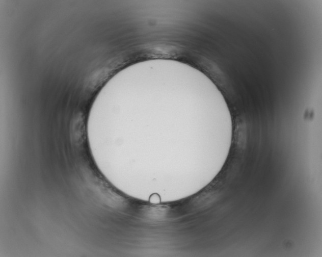 X0000111500318200908251056