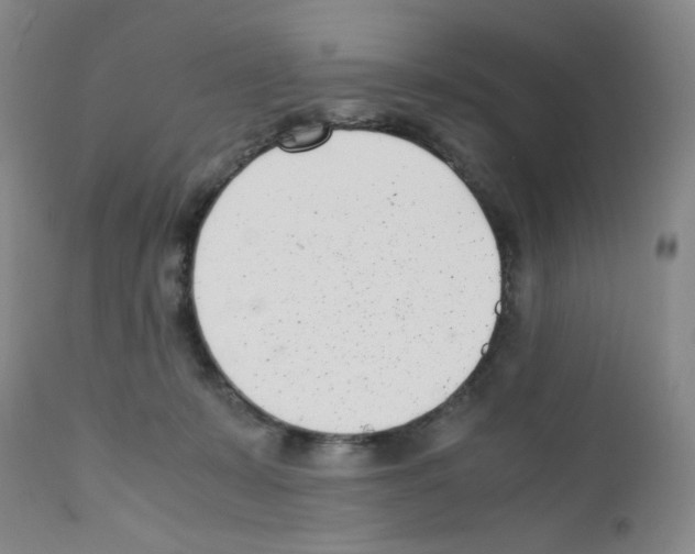 X0000111500319200908251056