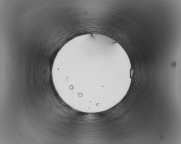 X0000111500320200908251056