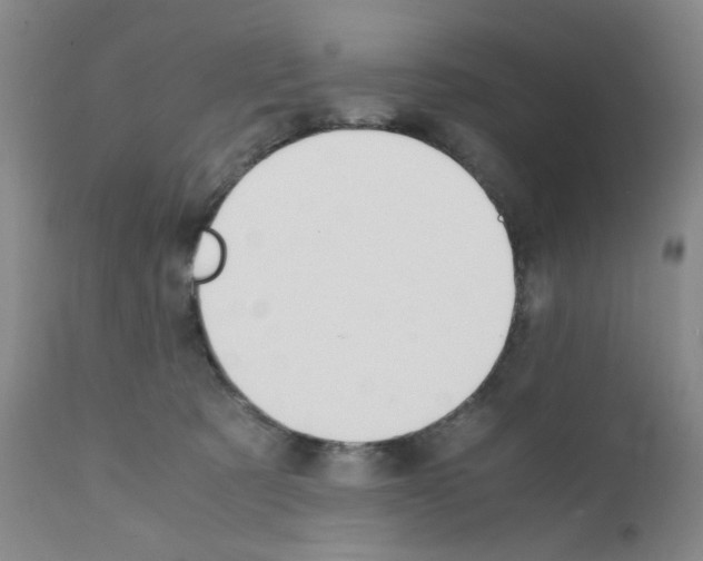 X0000111500321200908251055