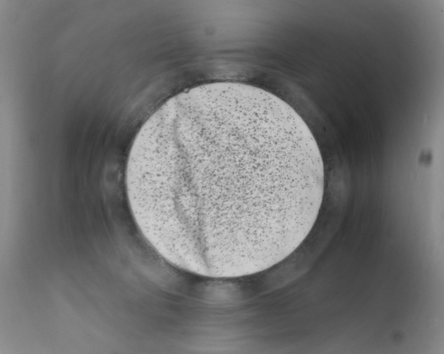 X0000111500322200908251055