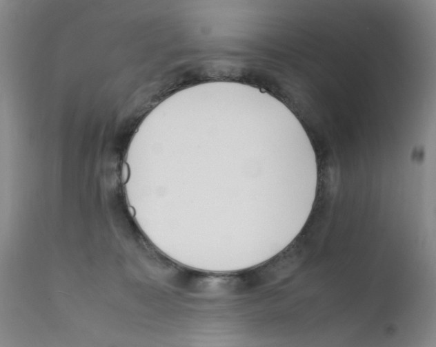 X0000111500323200908251055