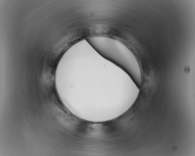 X0000111500324200908251055