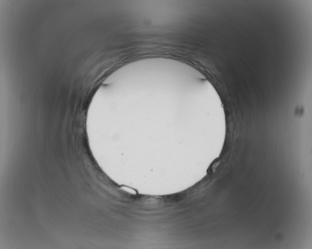 X0000111500325200908251055