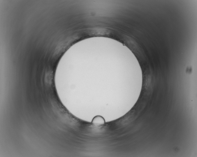 X0000111500326200908251055