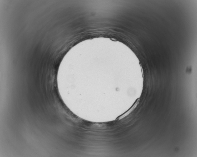 X0000111500328200908251055