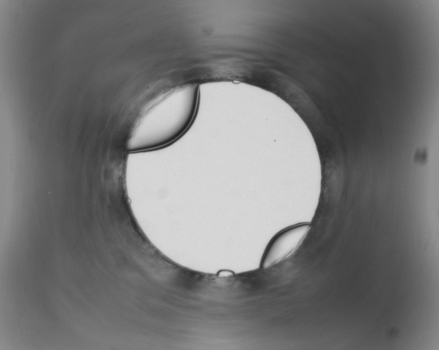 X0000111500329200908251055