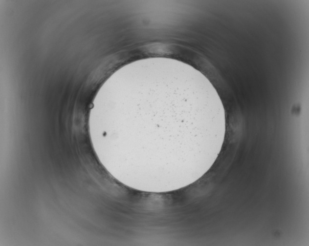 X0000111500330200908251055