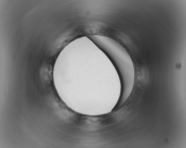 X0000111500332200908251055