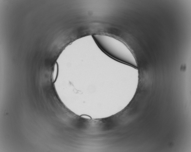 X0000111500333200908251055